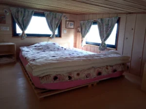 Tiny Birdy Container House - Image 2