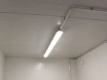 20′ Insulated Container - Image 2