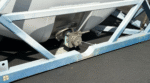 20ft Used Tank Container - Image 4
